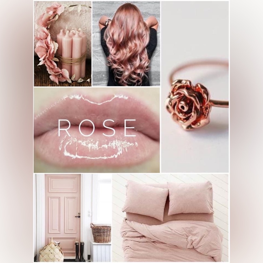 Lipsense by Senegence. Shade: Rose Gloss. NWT. - Picture 2 of 3